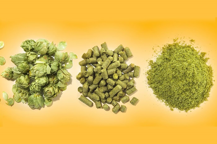 啤酒花-山东天泰啤酒设备