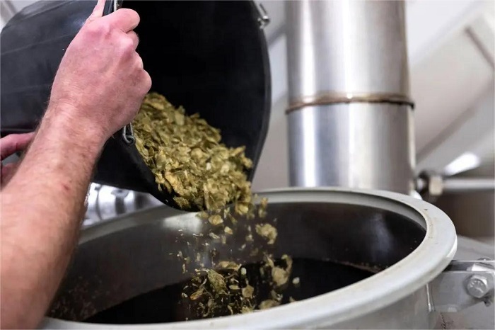 啤酒花-山东天泰啤酒设备