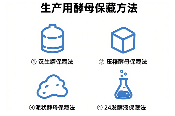 啤酒酵母-山东天泰啤酒设备