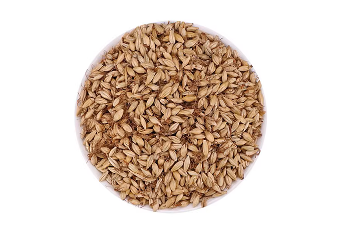 麦芽-山东天泰啤酒设备