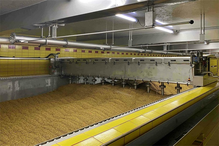 影响浸麦度高低的因素-山东天泰啤酒设备