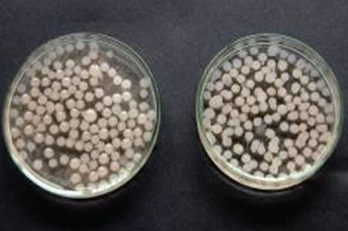 啤酒发酵-山东天泰啤酒设备