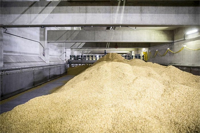 浸麦设备-山东天泰啤酒设备