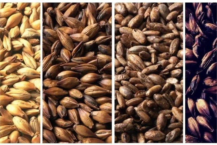 大麦水敏性-山东天泰啤酒设备