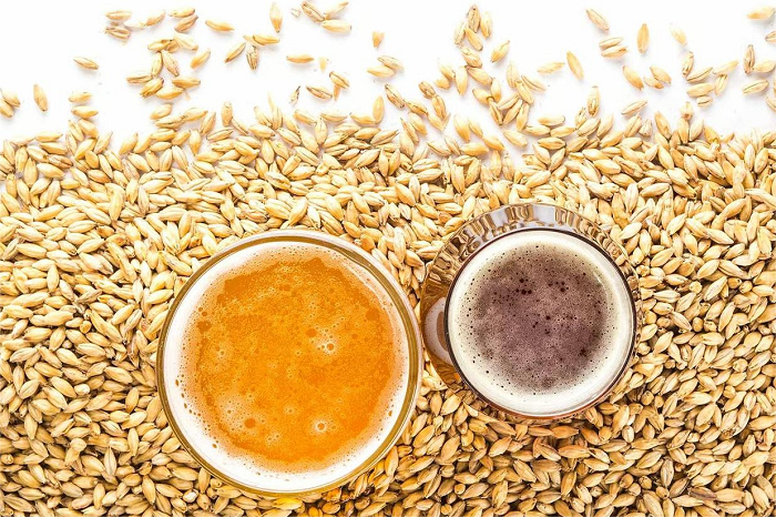 浸麦-山东天泰啤酒设备