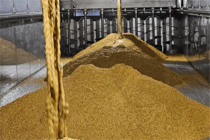 大麦发芽方法-山东天泰啤酒设备