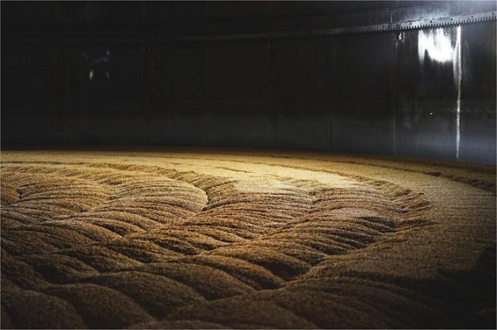 大麦箱式发芽-山东天泰啤酒设备