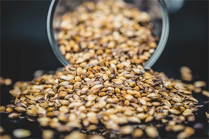 麦芽储存-山东天泰啤酒设备