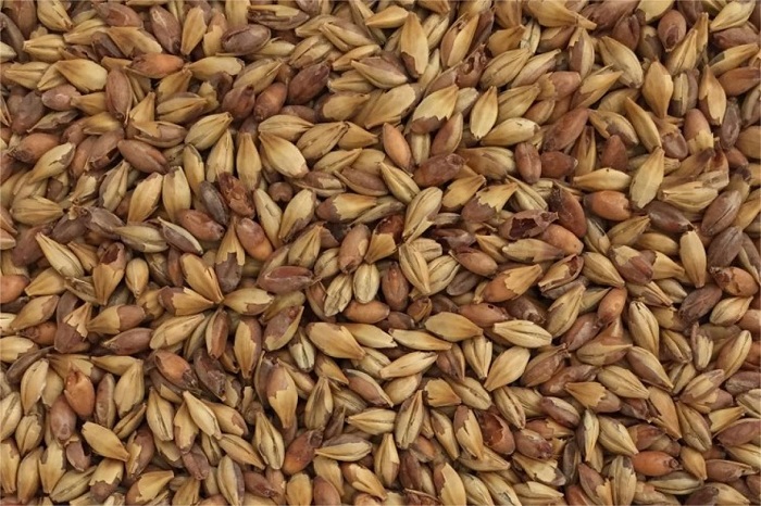 浅色麦芽-山东天泰啤酒设备