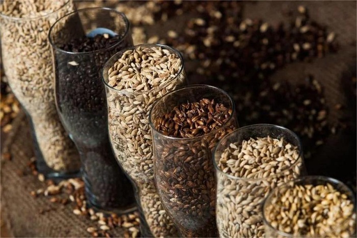 特种麦芽-山东天泰啤酒设备