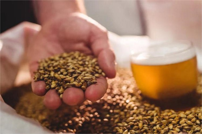 啤酒厂糖化工艺-山东天泰啤酒设备