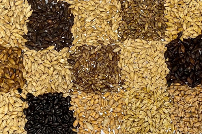 大麦-山东天泰啤酒设备