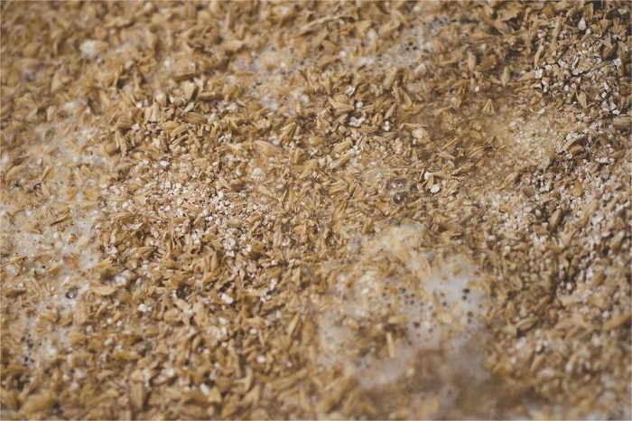 糖化醪液-山东天泰啤酒设备