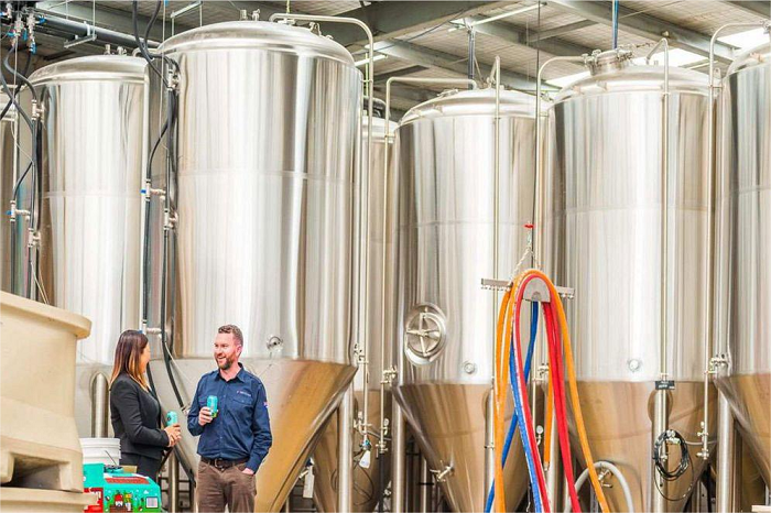 酵母培养-山东天泰