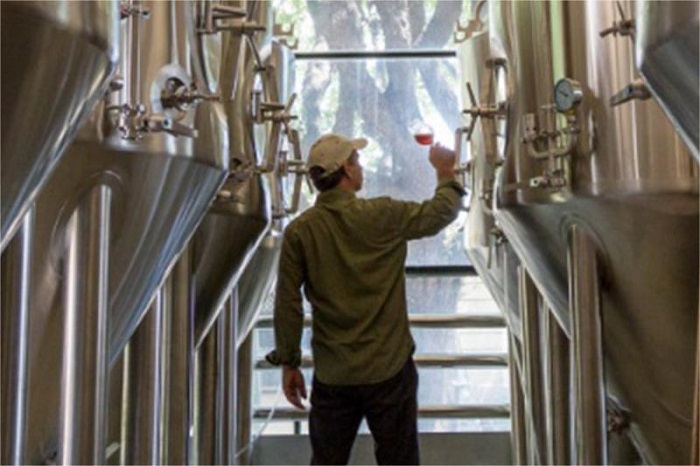 发酵工艺中蒸汽管路设计：经验分享与问题解决-山东天泰