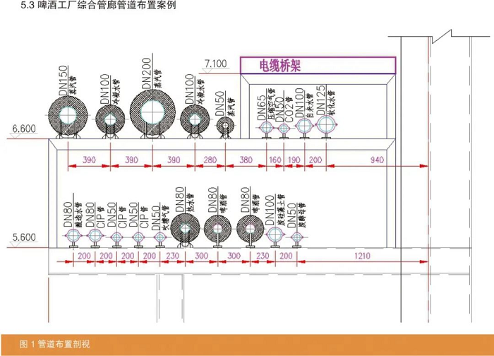 啤酒厂综合管廊管道布置设计-山东天泰
